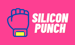 Silicon Punch